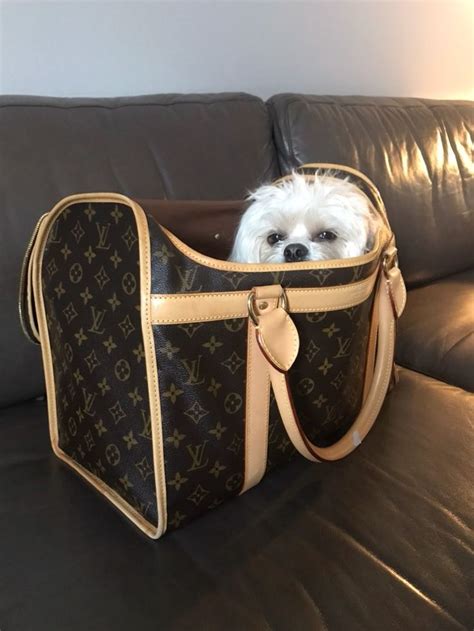 puppy louis vuitton|authentic Louis Vuitton pet carrier.